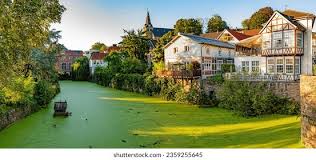 Essen : Cœur historique et économique de la Ruhr